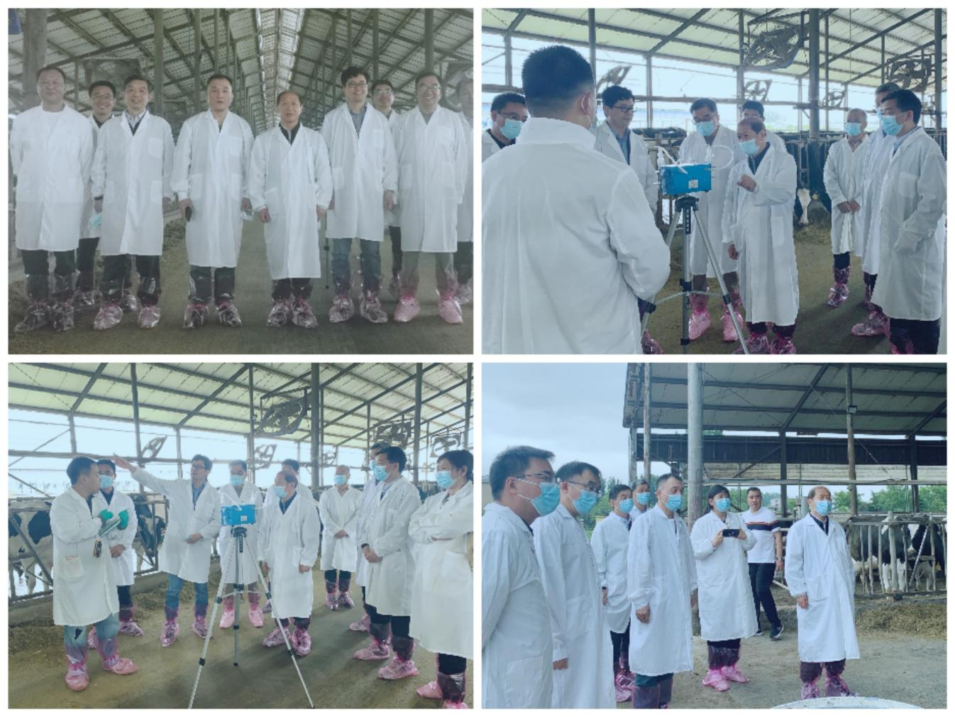 花花牛丨河南農(nóng)業(yè)大學(xué)黨委副書記、校長介曉磊一行蒞臨花花牛河南瑞亞參觀調(diào)研