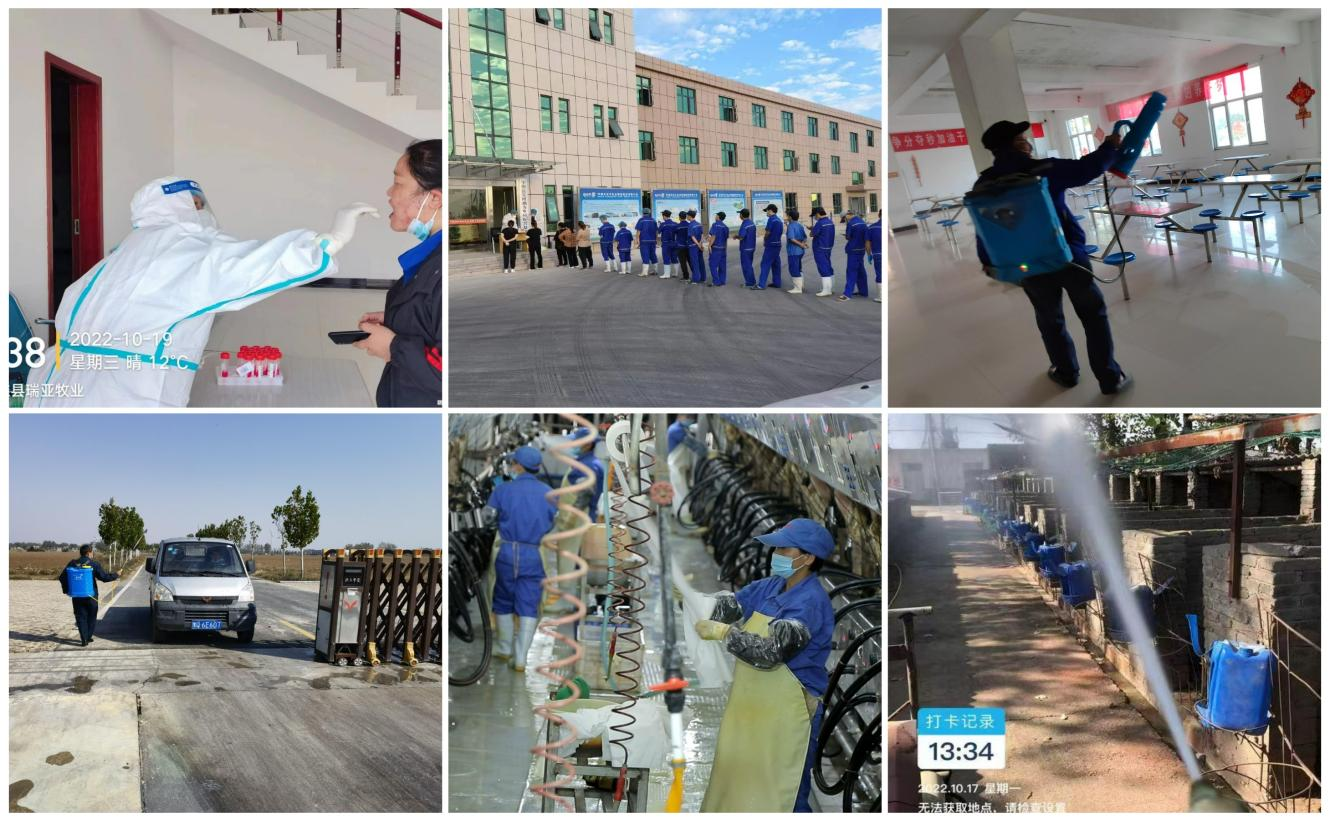 抗疫情、保供應、顯擔當——花花牛在行動！?。? style=