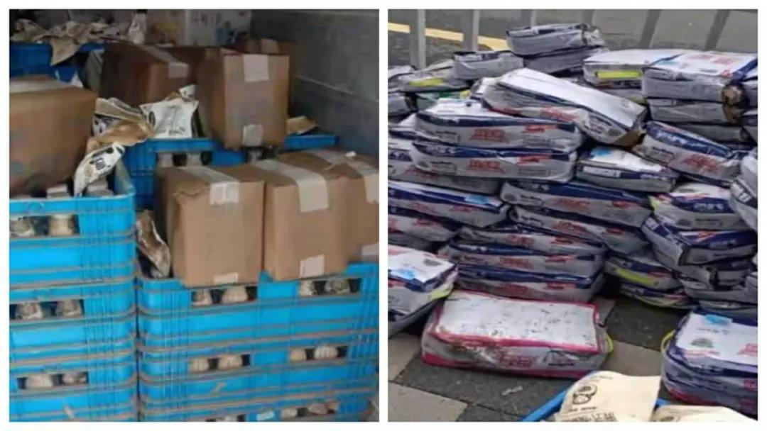 【乳報(bào)·聚焦】“豫”難而上的中原牛人“太中了”！