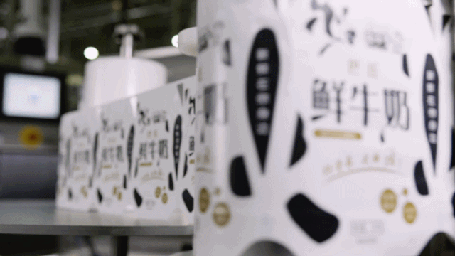 快訊 | 長江商學院智能制造學會走進花花牛乳業(yè)集團