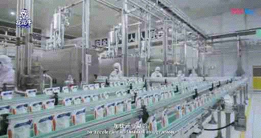 快訊 | 湖北省農業(yè)廳副廳長王海濤等領導一行蒞臨河南花花牛乳業(yè)集團參觀調研