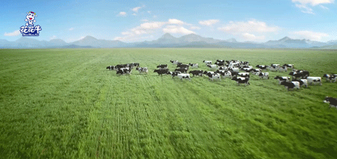 榮譽(yù) | 2019年度河南省美麗牧場名單新鮮出爐 花花牛乳業(yè)集團(tuán)旗下六個(gè)牧場榜上有名