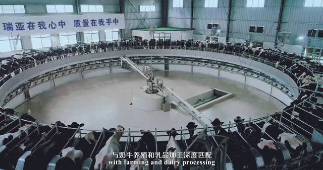 榮譽(yù) | 2019年度河南省美麗牧場名單新鮮出爐 花花牛乳業(yè)集團(tuán)旗下六個(gè)牧場榜上有名