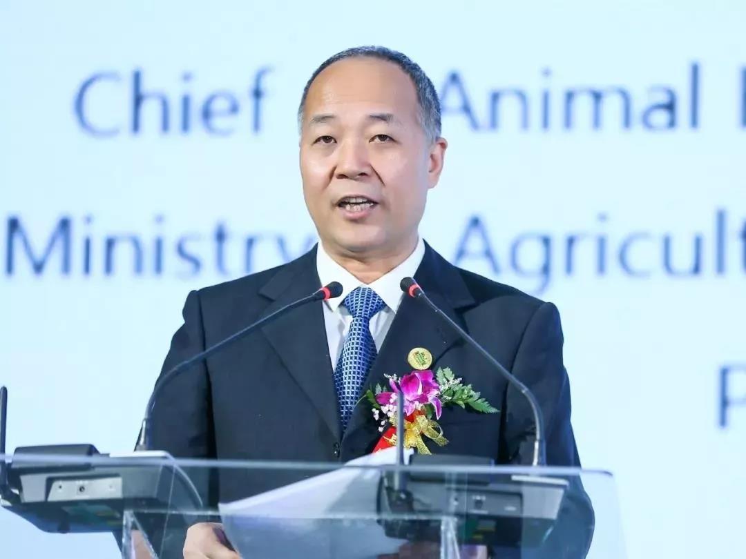 SDDDC走進(jìn)河南，看看花花牛的國際范兒！