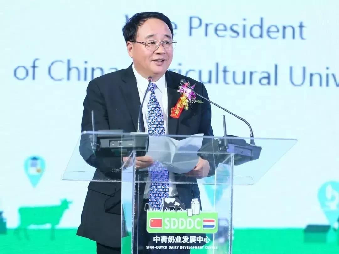 SDDDC走進(jìn)河南，看看花花牛的國際范兒！