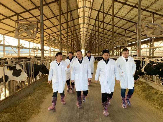 寧夏回族自治區(qū)農(nóng)業(yè)農(nóng)村廳黨組書記、廳長王剛一行蒞臨花花牛乳業(yè)集團(tuán)調(diào)研
