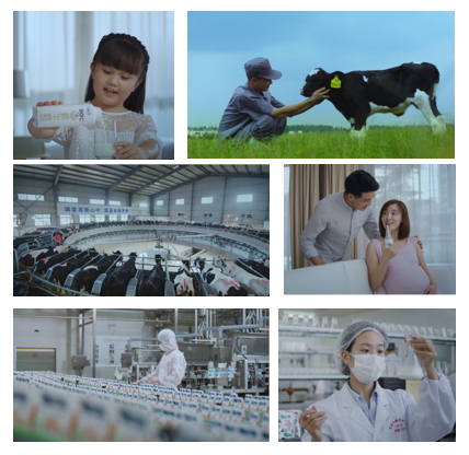 花花牛亮相中國奶業(yè)20強(qiáng)呼倫貝爾峰會，共話中國奶業(yè)振興！