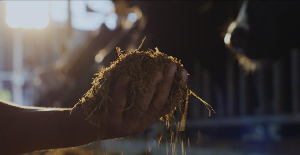 又雙叒叕獲獎啦！花花牛榮獲“乳品質量安全管理 優(yōu)秀企業(yè)”