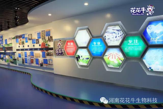 花花牛：務(wù)實、創(chuàng)新領(lǐng)潮市場 大企業(yè)體現(xiàn)大擔當