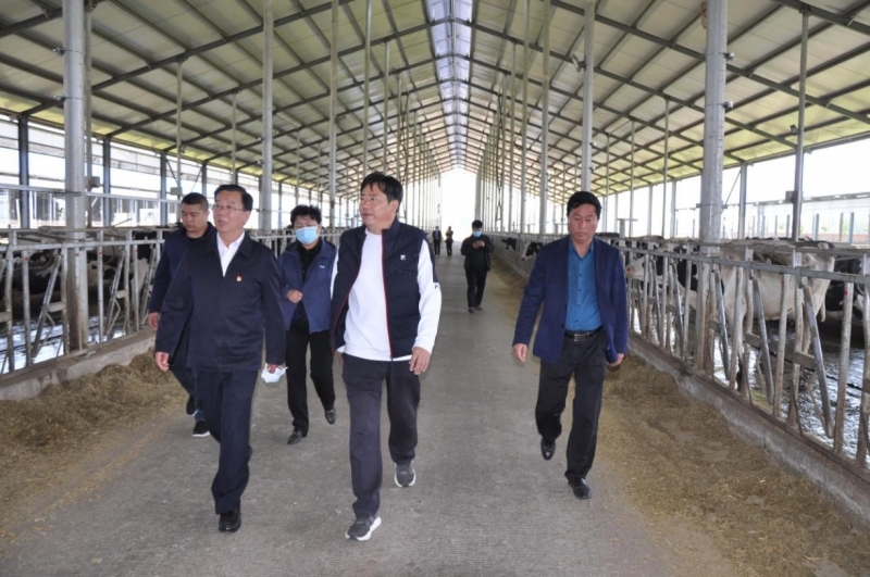 商丘市委常委、宣傳部部長王全周一行蒞臨睢縣瑞亞牧業(yè)有限公司調(diào)研